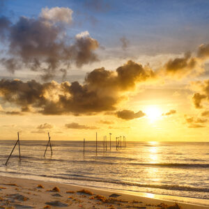 Amanecer Dorado